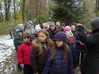 Zdjęcie w galeri